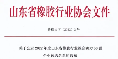 中国轮胎看山东，山东轮胎企业排行榜！-山东著名轮胎生产企业