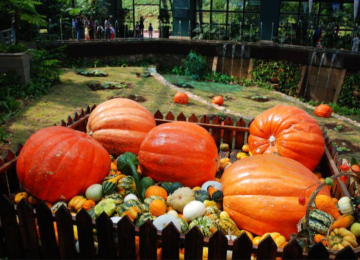 航天员能量餐为啥具有不可替代性？三个条件极为苛刻，杨利伟首吃-航天器能量来源于哪里