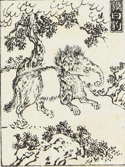 库洛米的CP，能治噩梦？-库洛米 凯蒂猫 玉桂狗 三丽鸥 是什么