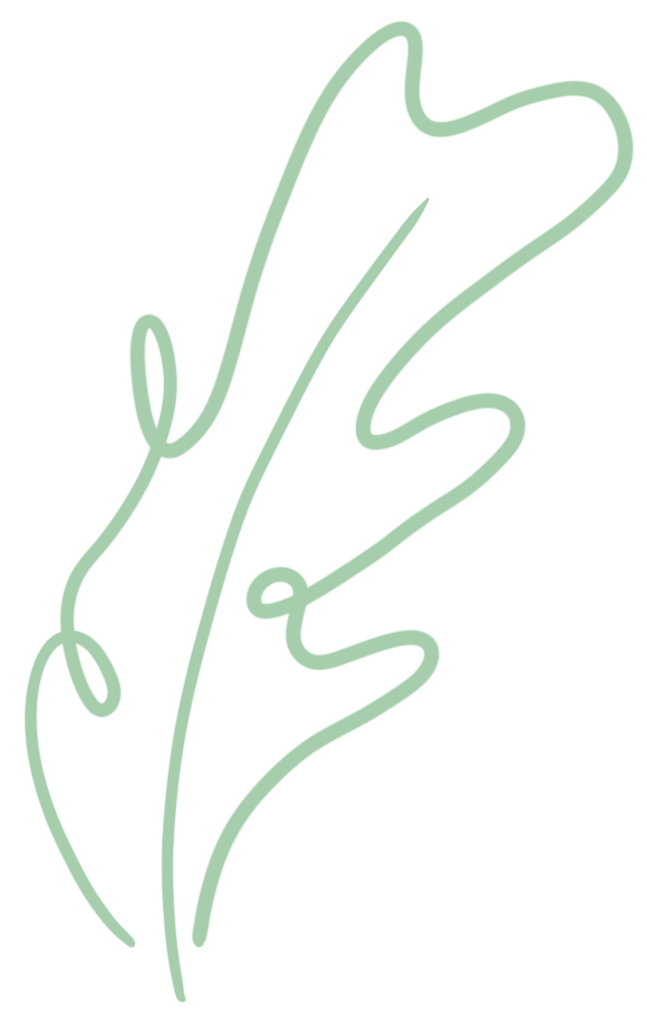 我爱春天的校园－校园环境－新 - 拷贝-我爱春天的校园怎么写