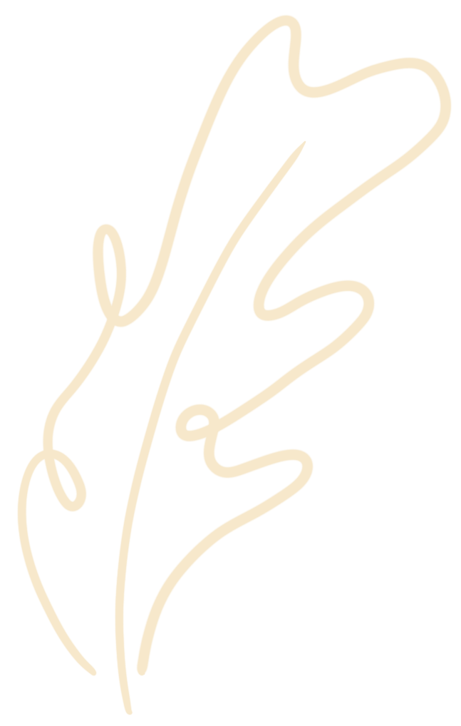 我爱春天的校园－校园环境－新 - 拷贝-我爱春天的校园怎么写