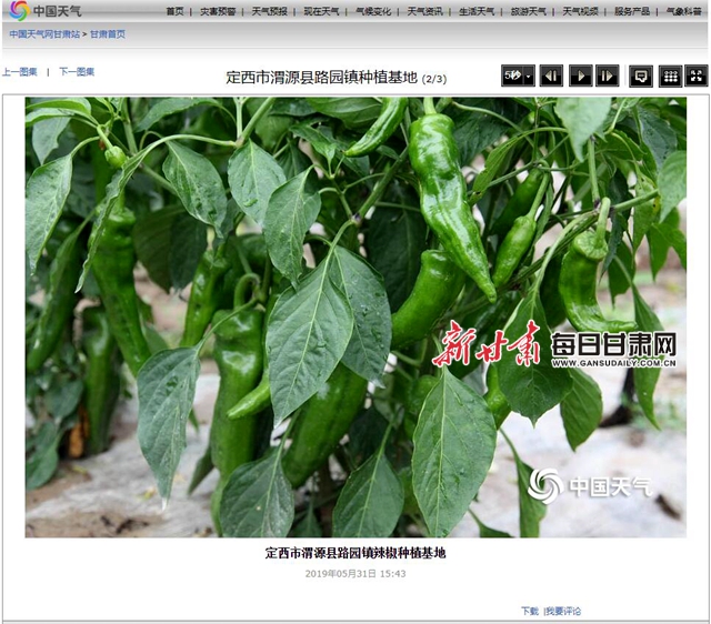 定西农特产品登上了中国天气网-定西农作物