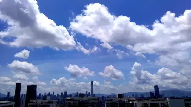 我叫深圳，这是我的个人简历，请查看！-人才招聘网深圳