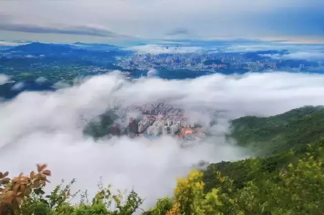 我叫深圳，这是我的个人简历，请查看！-人才招聘网深圳