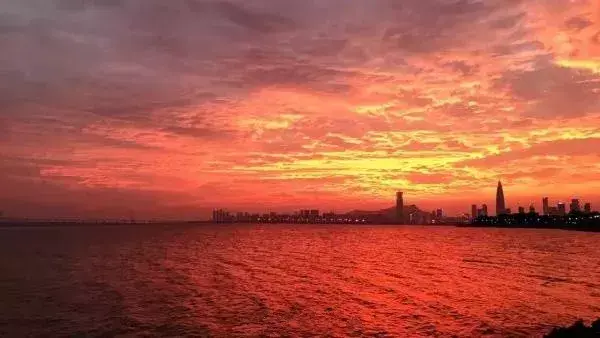 我叫深圳，这是我的个人简历，请查看！-人才招聘网深圳