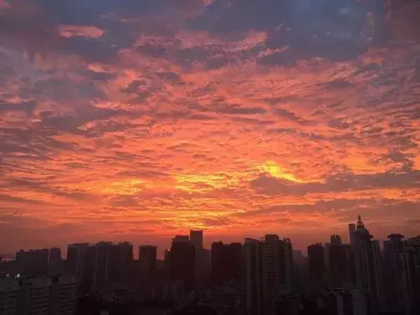 我叫深圳，这是我的个人简历，请查看！-人才招聘网深圳