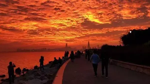 我叫深圳，这是我的个人简历，请查看！-人才招聘网深圳