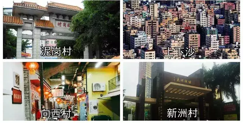 我叫深圳，这是我的个人简历，请查看！-人才招聘网深圳