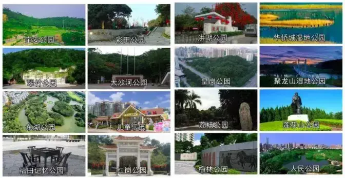 我叫深圳，这是我的个人简历，请查看！-人才招聘网深圳