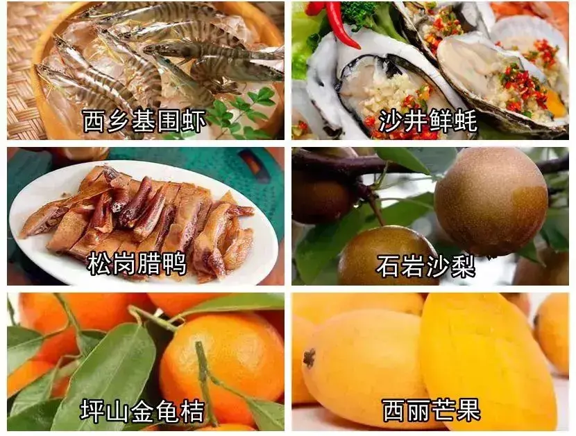 我叫深圳，这是我的个人简历，请查看！-人才招聘网深圳