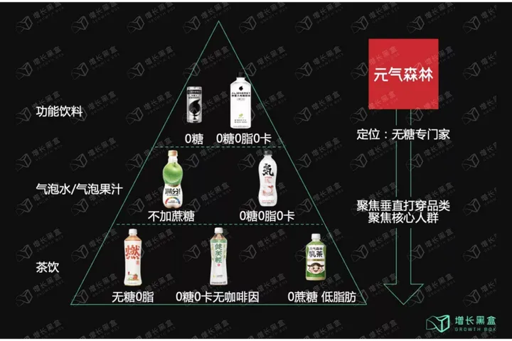 12000字解读元气森林：套利与降维的游戏-元气森林的简介