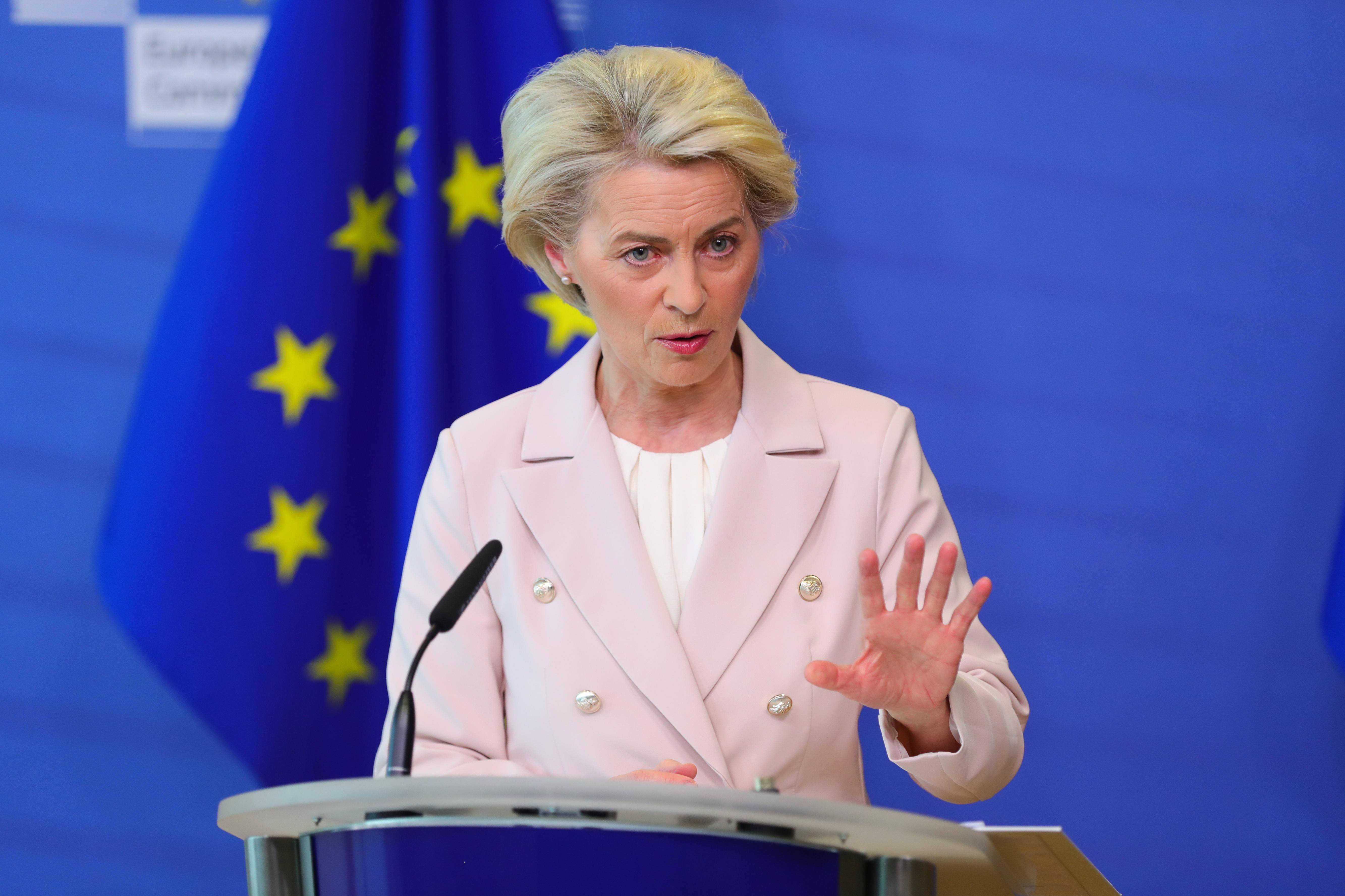 华盛顿消息人士：拜登未支持冯德莱恩执掌北约-华盛顿拜登就职仪式