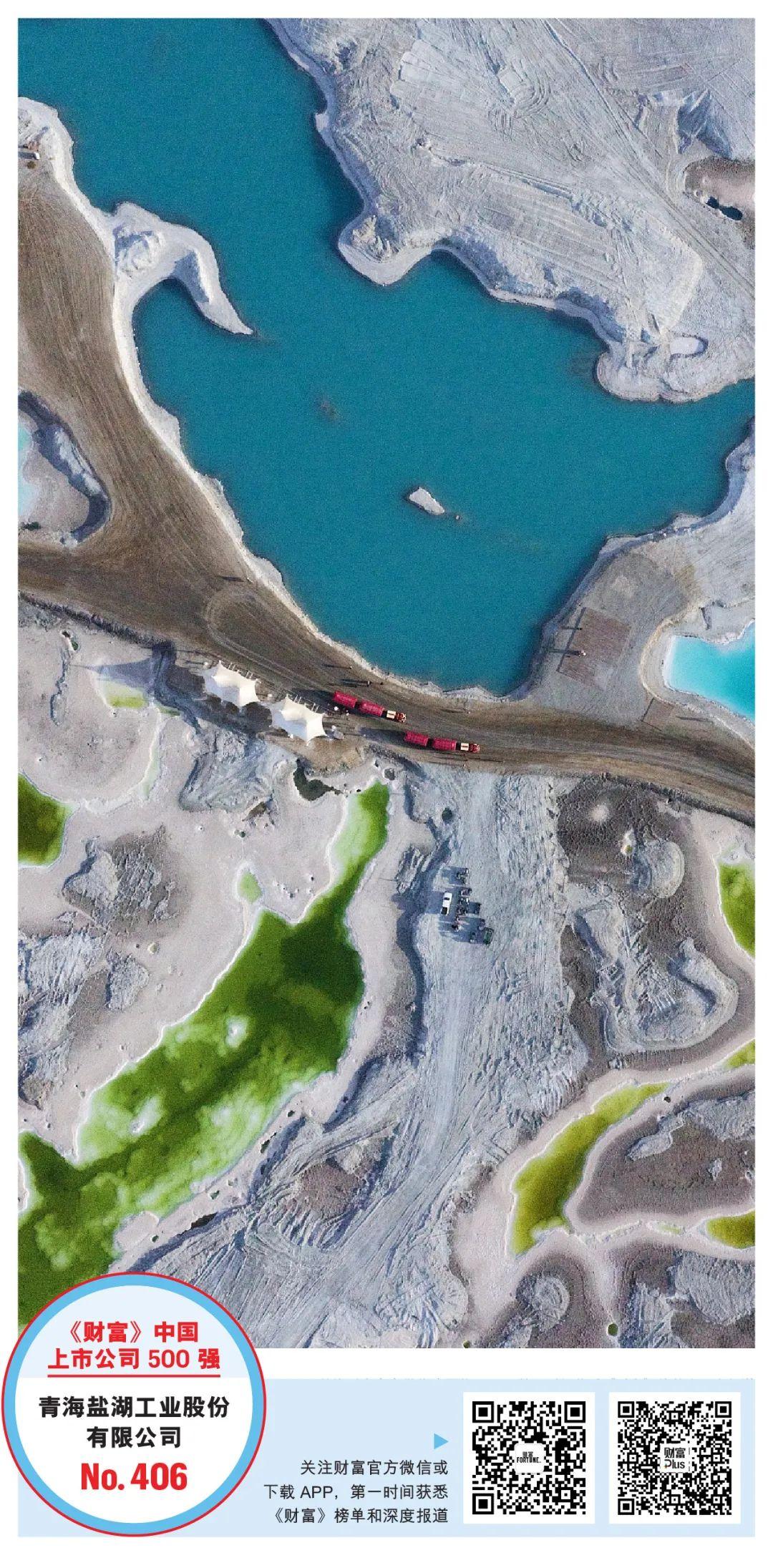 2023年《财富》中国上市公司500强排行榜揭晓-2020中国上市公司500强