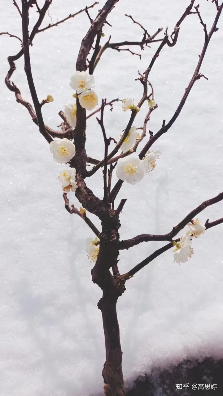 什么叫厚积薄发？-什么是厚积薄发?