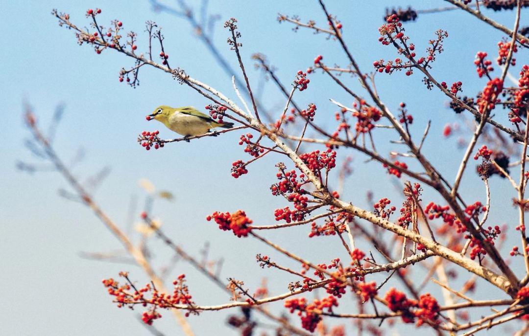 夜读｜厚积薄发，行稳致远-厚积薄发下句