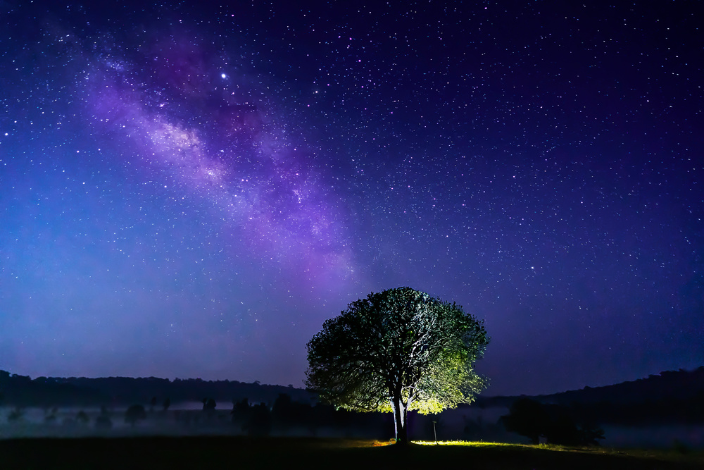 职业教育2022：厚积薄发，蓄力前行-职业教育资讯app