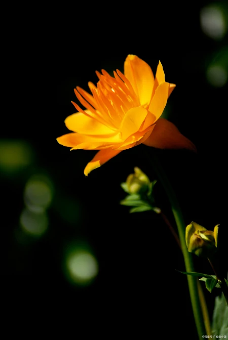 做人，当静水流深，张驰有度；做事，当不急不躁，厚积薄发-静水深流,张弛有度,事急则缓,事缓则圆