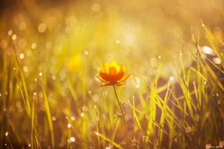 做人，当静水流深，张驰有度；做事，当不急不躁，厚积薄发-静水深流,张弛有度,事急则缓,事缓则圆
