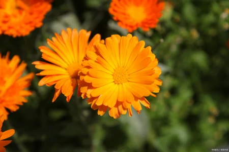 做人，当静水流深，张驰有度；做事，当不急不躁，厚积薄发-静水深流,张弛有度,事急则缓,事缓则圆