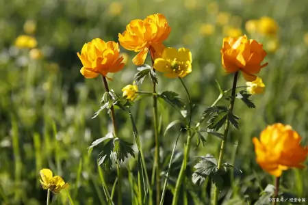 做人，当静水流深，张驰有度；做事，当不急不躁，厚积薄发-静水深流,张弛有度,事急则缓,事缓则圆