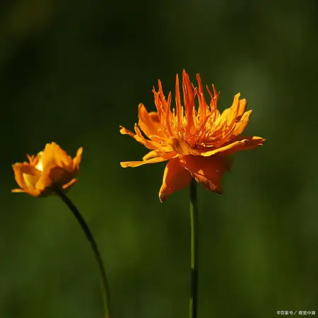 做人，当静水流深，张驰有度；做事，当不急不躁，厚积薄发-静水深流,张弛有度,事急则缓,事缓则圆