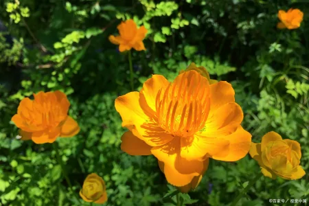 做人，当静水流深，张驰有度；做事，当不急不躁，厚积薄发-静水深流,张弛有度,事急则缓,事缓则圆
