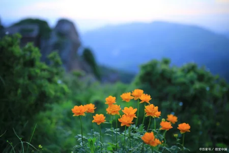 做人，当静水流深，张驰有度；做事，当不急不躁，厚积薄发-静水深流,张弛有度,事急则缓,事缓则圆