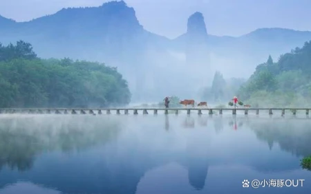 施一公先生：人生不是一场比赛，而是实实在在的体验-施一公的名言