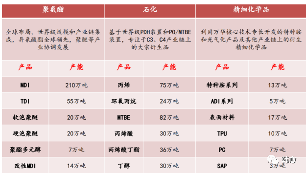 个股分析之万华化学-万华化学股票600309