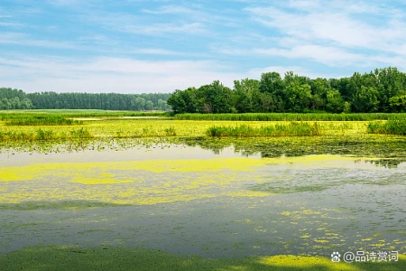 韩愈的一首《闲游》，清新平易，多读几遍，更能领略一种悠然情味-闲游文言文