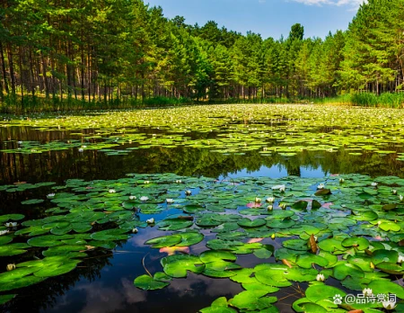 韩愈的一首《闲游》，清新平易，多读几遍，更能领略一种悠然情味-闲游文言文
