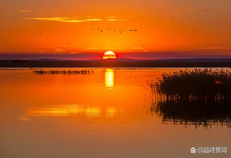 韩愈的一首《闲游》，清新平易，多读几遍，更能领略一种悠然情味-闲游文言文
