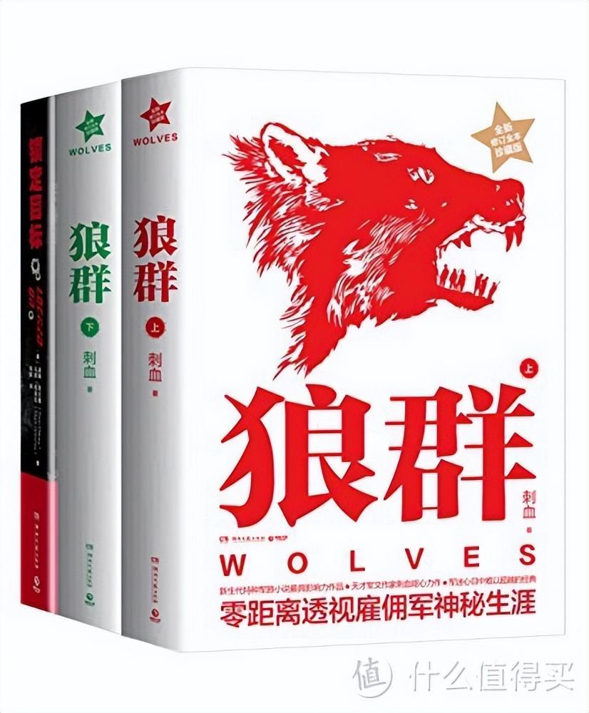 值友推荐的，四本Ta认为最好看的小说，没有之一