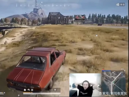 PDD直播玩游戏，观众又问“卢本伟什么时候复出”，PDD的回应亮了-pdd说卢本伟真的回不来了