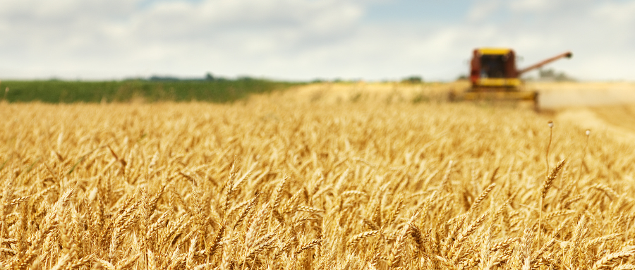 中粮年营收超7000亿，背后是粮食暗战？-中粮集团利润表