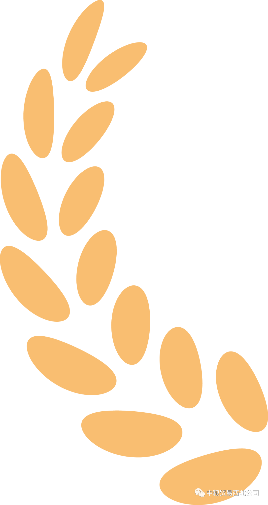 西北公司“85后”年轻后备干部培训班学员心得体会（三）-年轻后备干部选拔的主要程序