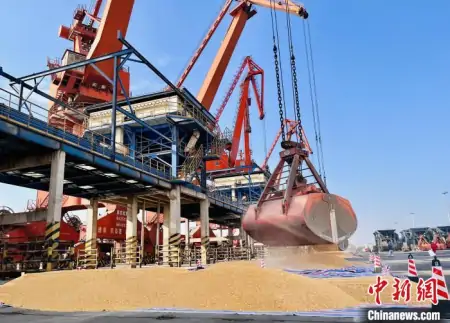 中国首次散船进口巴西玉米 输华走廊正式打通-今日进口玉米港口最新报价查询