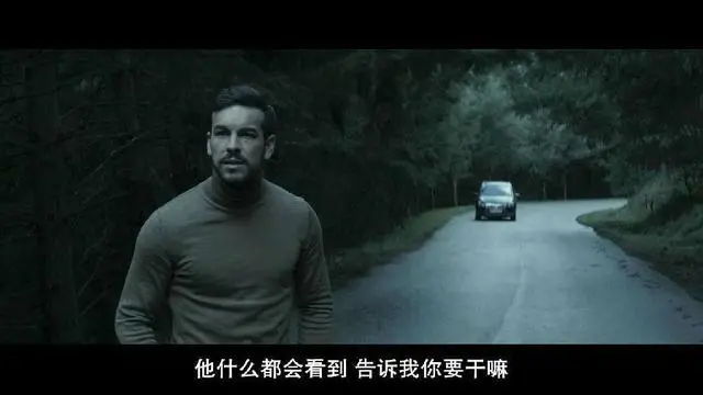 浅谈刷爆朋友圈的豆瓣高评分惊悚剧《看不见的客人》-《看不见的客人》影评