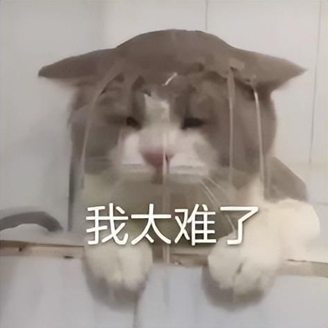 入职十年，我还是个基层人员！宁波女白领吐槽：有多少人和我一样-宁波女性退休年龄政策