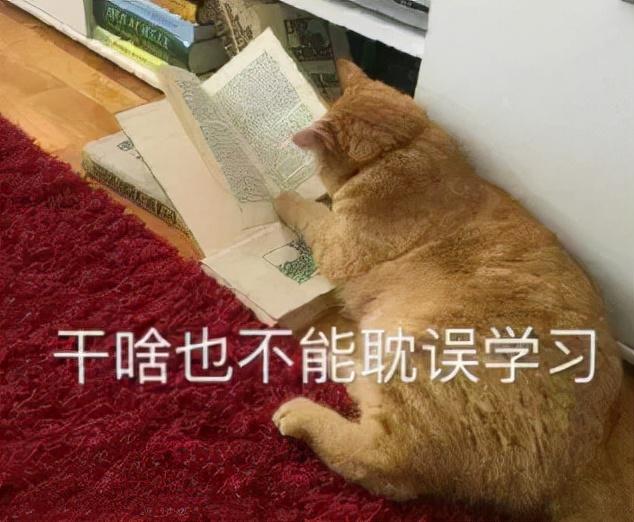 小区公办学校差，宁波家长多花好几万打进民办！经历迷茫失望焦虑-宁波公办小学收费