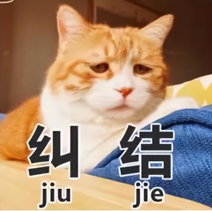 残酷！宁波普高上不了，民办高中和职高选择，难倒众家长-宁波民办普通高中有哪些