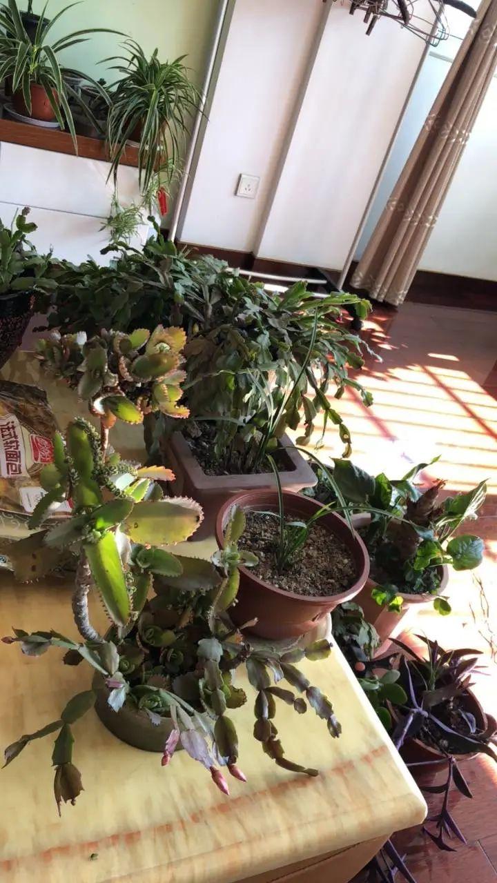 好几个同事阳了，宁波一公司按病假处理！员工：全额工资没了