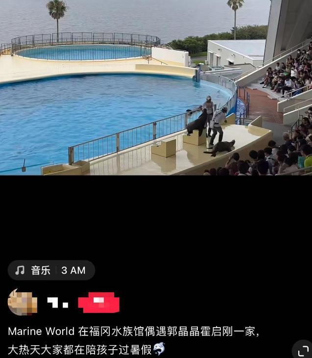 官宣升职，郭晶晶罕见发文分享！霍启刚现身日本陪老婆逛街-郭晶晶和霍启刚参加的真人秀节目叫什么名字