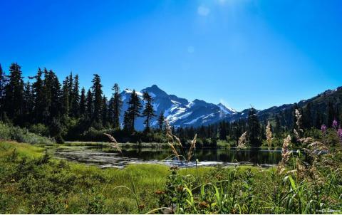 贾平凹：50岁以后，不管多穷，都要守住家门，别让这几件祸事进门！【HX】C 自在独行 贾平凹的独行世界 执笔40年高水准散文精粹精选【HX】C 自在独行 贾平凹的独行世界 执笔40年高水准散文精粹¥39打开百度APP立即扫码购买-贾平凹五十岁时人生干不了几件事赏评