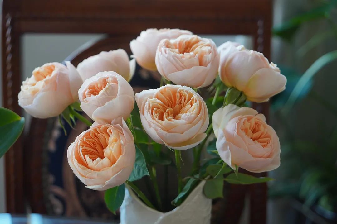 贾平凹：学会拒绝-学会拒绝别人的经典句子图片