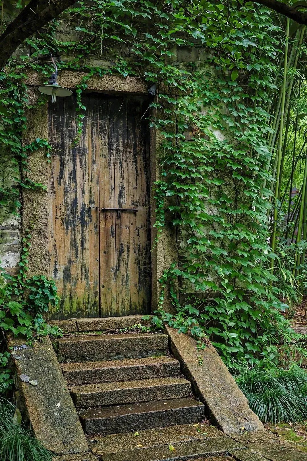 贾平凹：学会拒绝-学会拒绝别人的经典句子图片