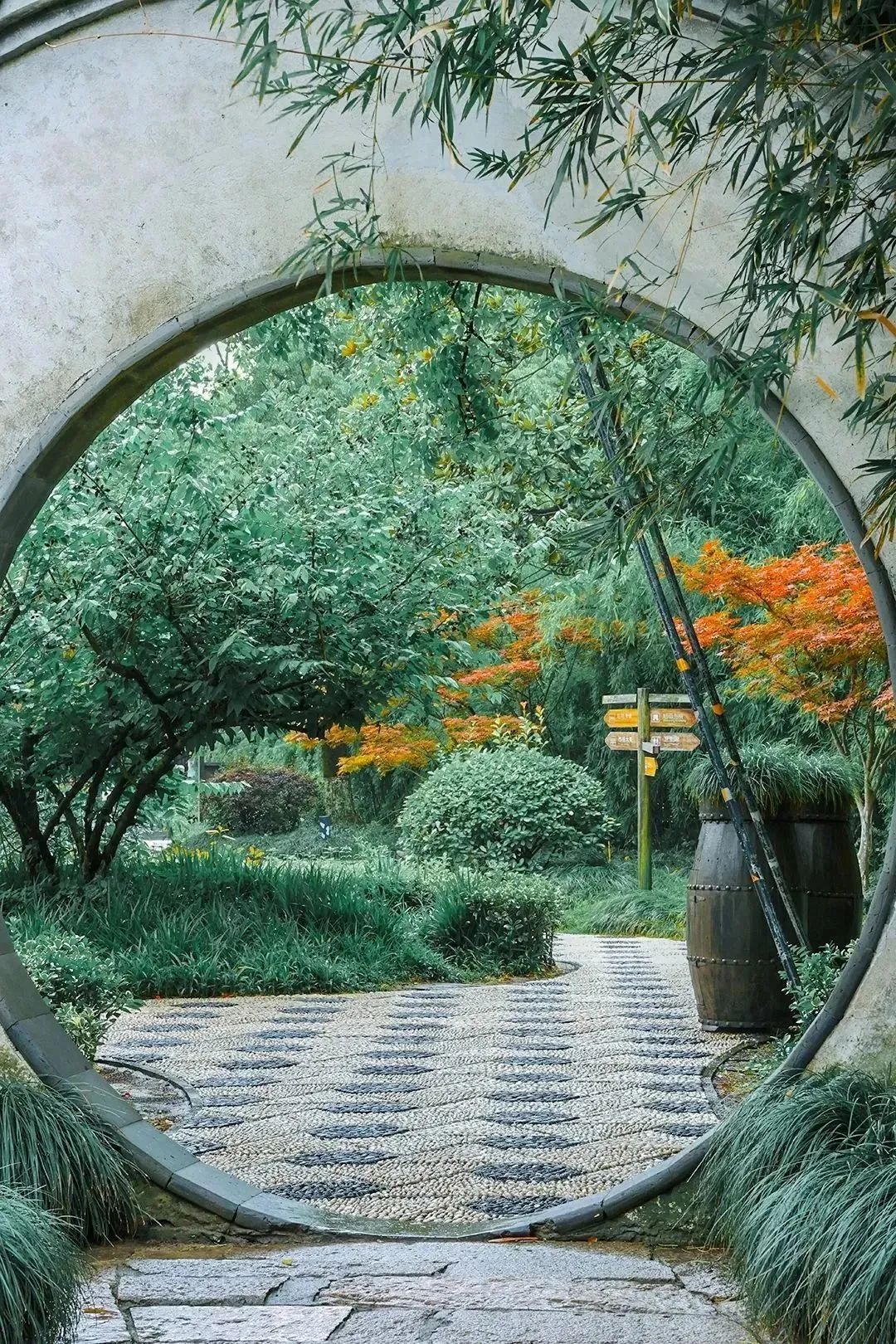 贾平凹：学会拒绝-学会拒绝别人的经典句子图片