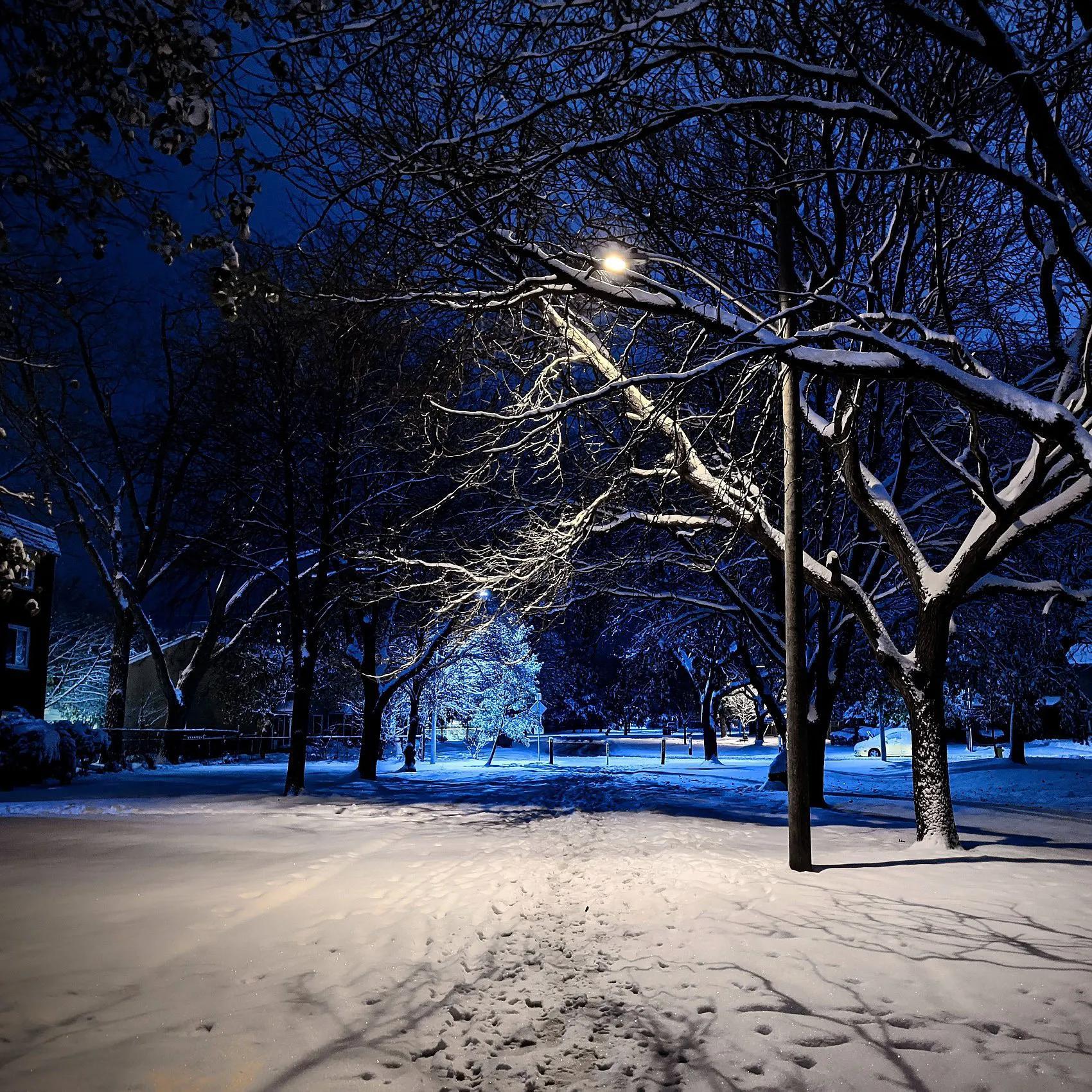 你的校内网还在吗？-校内网为什么不能用了呀