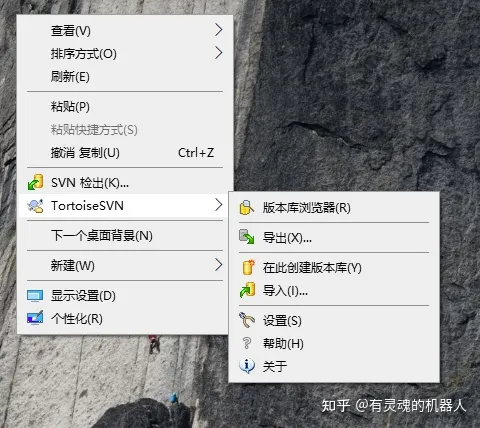 svn安装和切换中文-svn的安装目录一般在哪