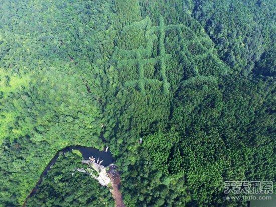 成都惊现神秘“犇”字形图案，或是先人留迹？-成都图标logo